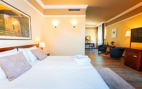 Bristol hotel Opatija - Opatija - Rooms-Suites